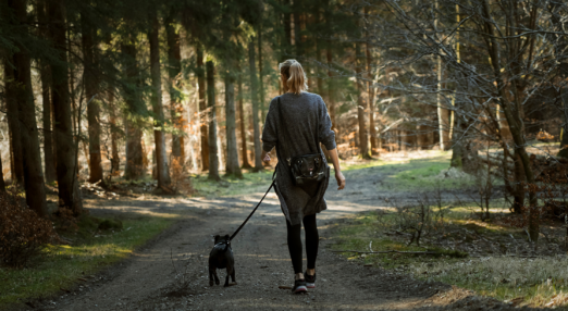 Woman walks in the forest with her dog