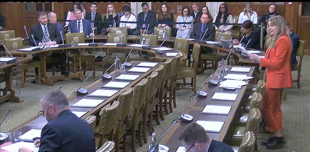 MPs debating migraine in parliament 