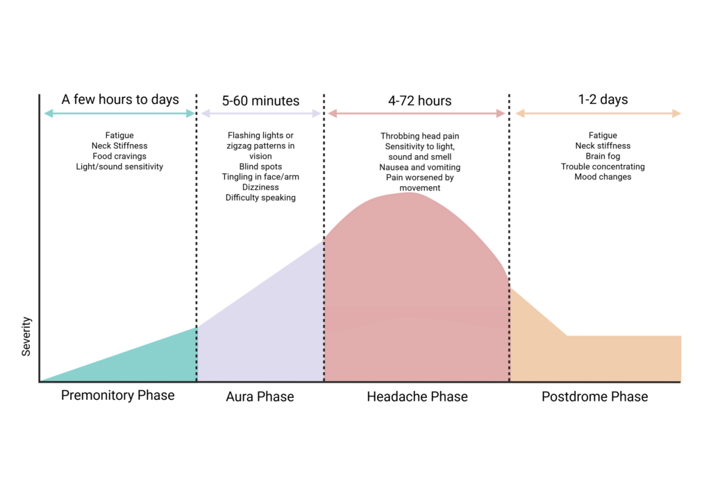 A graph shows a steady rise then sharp fall, with the four categories of migraine phases labeled