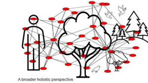 A person, trees and birds connected with lines.