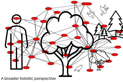 A person, trees and birds connected with lines.